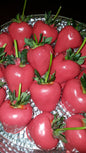Strawberries - Chocolate Covered/Dipped (Red)