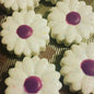 Oreo Cookies - Chocolate Covered/Dipped (Daisy Sunflower)